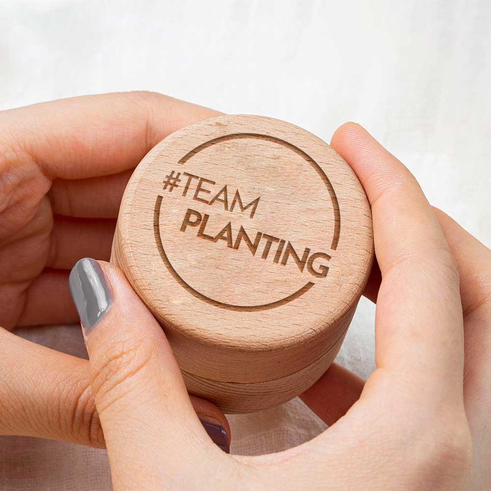 Sole Stream Opal Koa Wood Ring - TeamPlanting