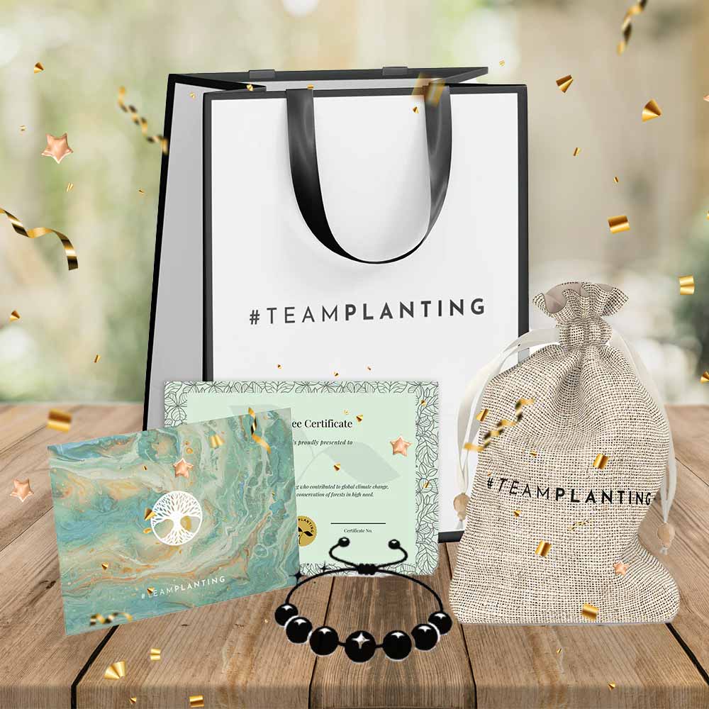 #type_Gift Kit & Mystery Bracelet