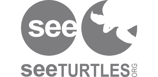 SEE Turtles