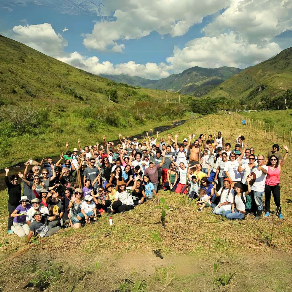 Local reforestation activists