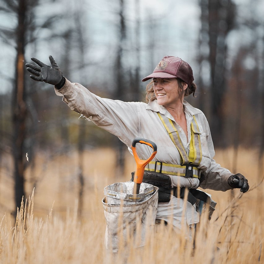 Reforestation work