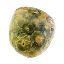 Rainforest Jasper