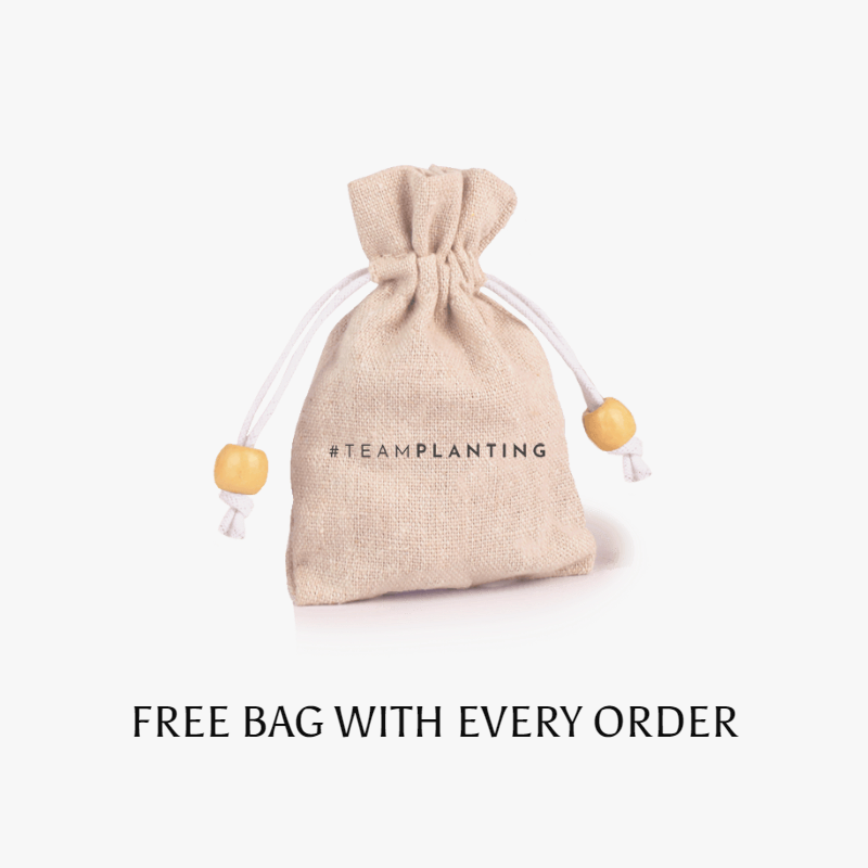 Blooming Luck - Tiger's Eye Necklace - TeamPlanting