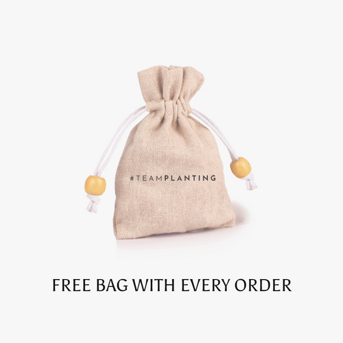 New Prespective - Lapis Lazuli Teardrop Earrings - TeamPlanting