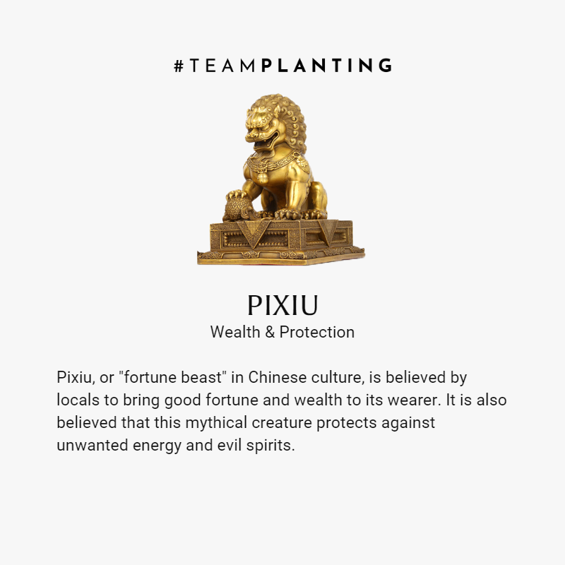 Glorious Fortune - Red String Feng Shui Pixiu Bracelet - TeamPlanting