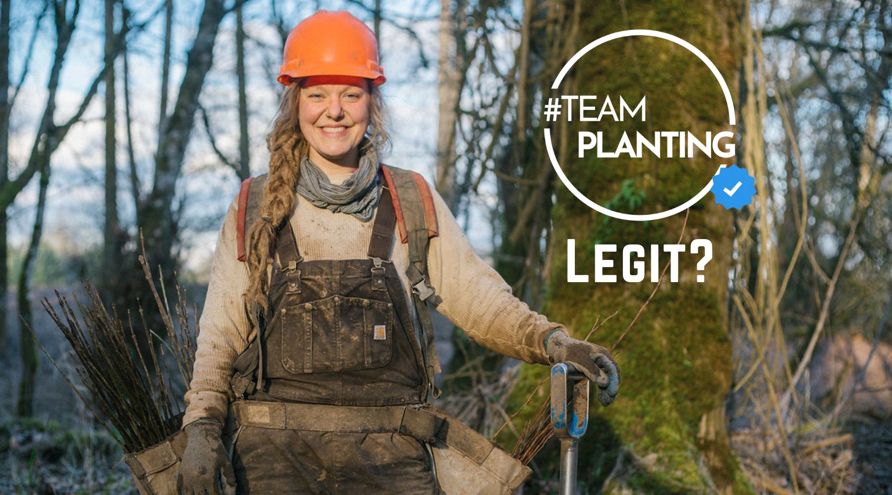People often ask: Is TeamPlanting Legit?