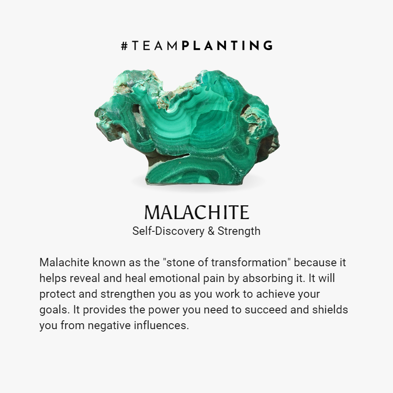 Spiritual Makeover - Malachite Plate Bracelet - TeamPlanting