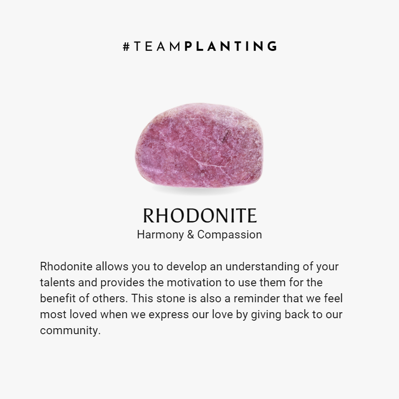 Uplifted Emotions - Rhodonite Plate Bracelet - TeamPlanting