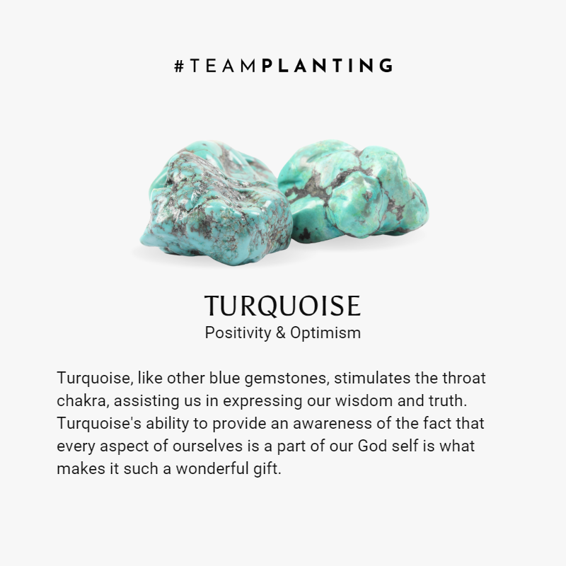 Abundance Harmony - Ocean Turtle Charm Turquoise Anklet - TeamPlanting