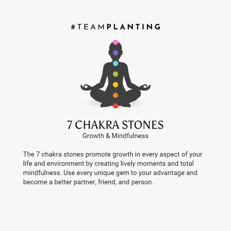 Aligned Vitality - Chakra Crystals Necklace - TeamPlanting