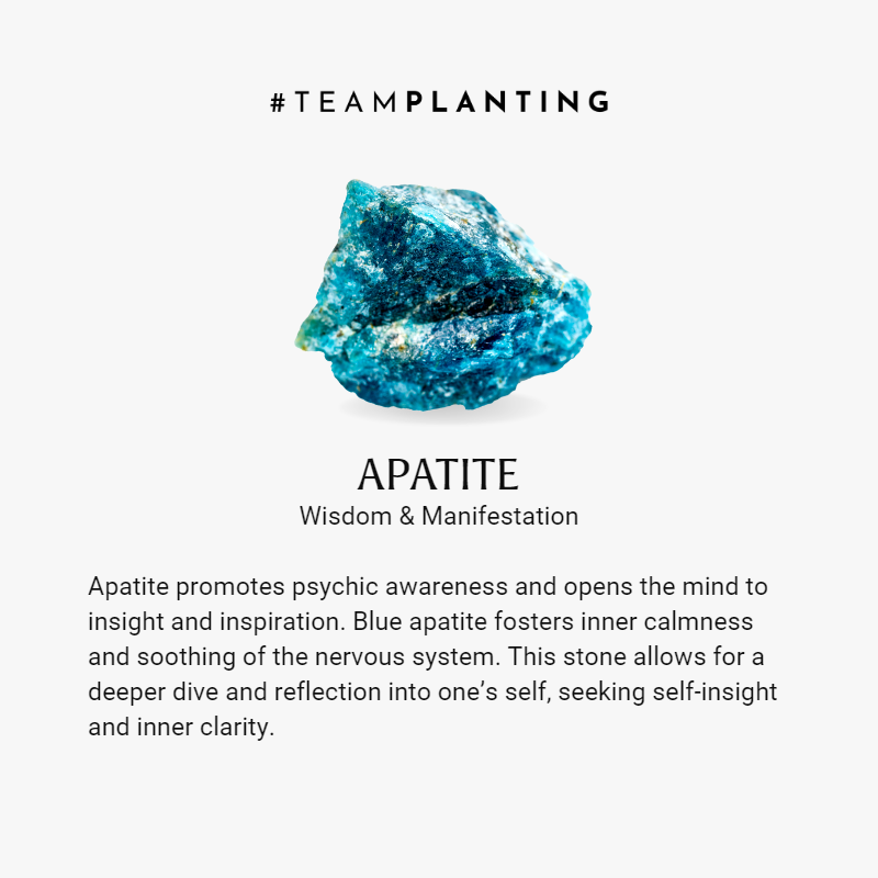 Plentiful Wisdom - Apatite Stone Bracelet - TeamPlanting