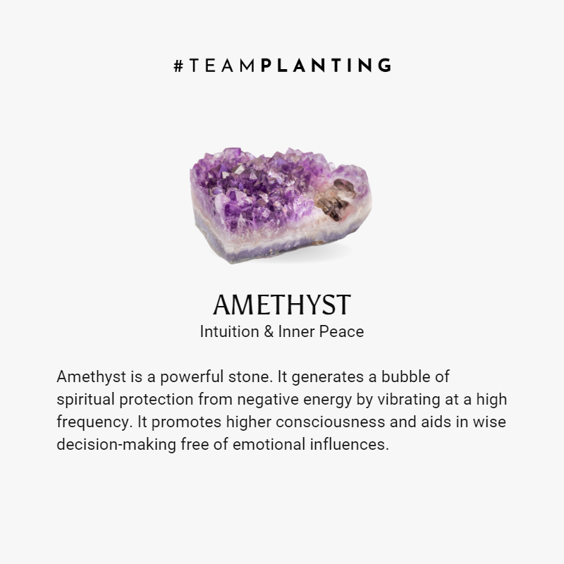 Soothing Serenity- Amethyst Copper Orgone Pyramid - TeamPlanting