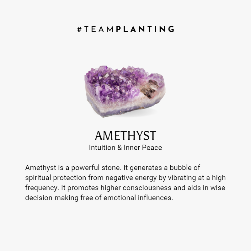 Soothing Relaxation - Amethyst Chakra Necklace - TeamPlanting
