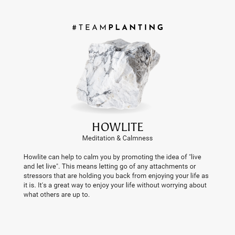 Drop of Delight - Howlite Bracelet - TeamPlanting
