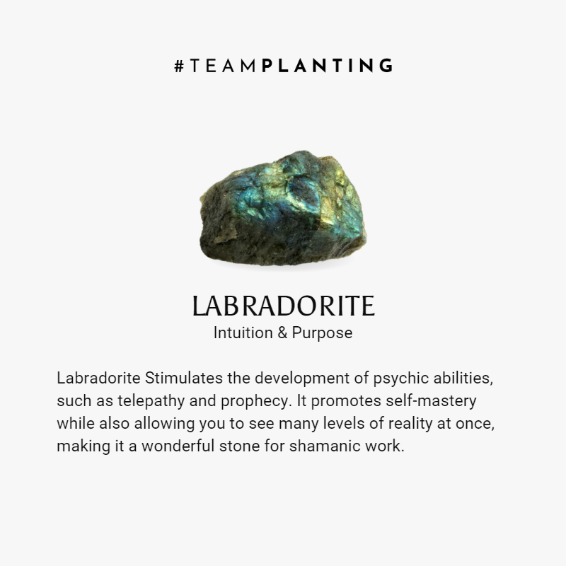 Rejuvenating Spirit - Dragon's Heart Labradorite Necklace - TeamPlanting