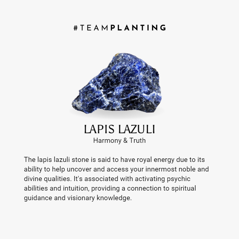 Defenitive Truth - Lapis Lauzuli Braided Bracelet - TeamPlanting