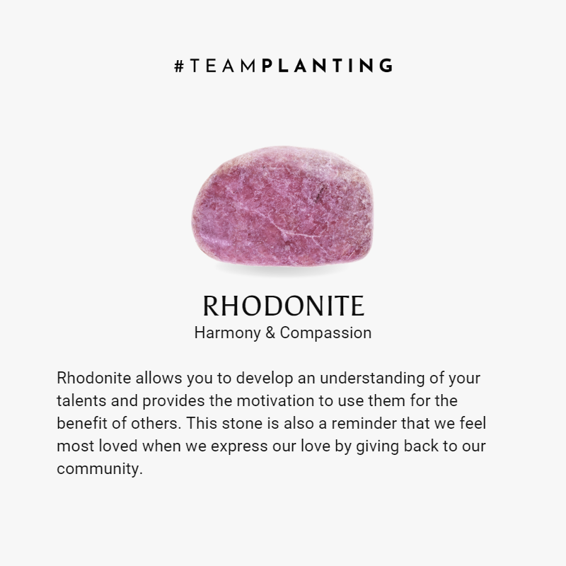 Focused Emotions - Rhodonite Hexagon Earrings - TeamPlanting