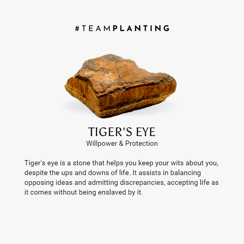 Utmost Strength - Tiger's Eye Mantra Bracelet - TeamPlanting