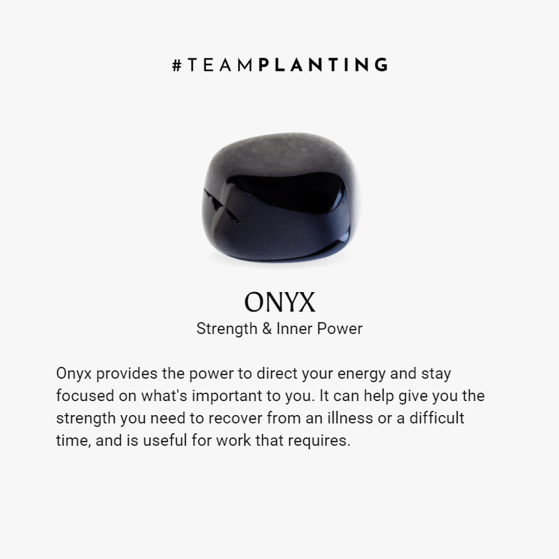 Trinity Protection - Rhodonite Quartz Onyx Bracelets Stack - TeamPlanting