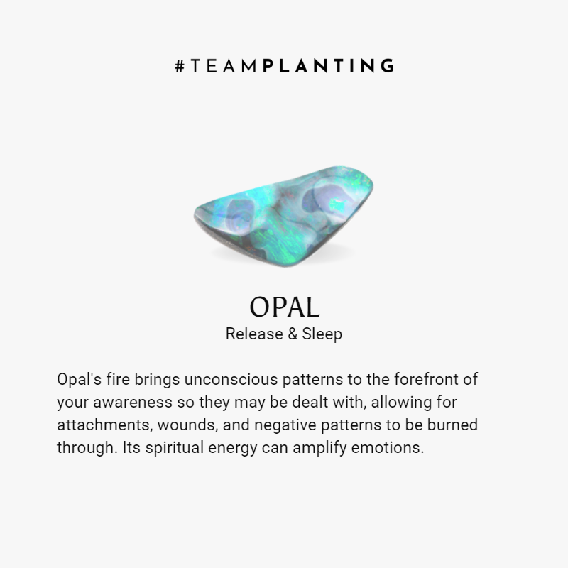 Essence of Joy - Lotus Charm Pink Opal Prayer Bracelet - TeamPlanting