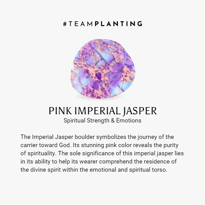 Circle of Peace - Pink Imperial Jasper Bracelet - TeamPlanting